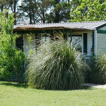 Mas Maurane-le Platane Avec Prive Aux Portes D'arles Holiday home *