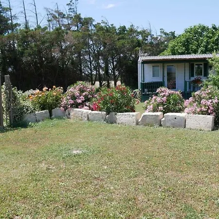 Mas Maurane-le Platane Avec Prive Aux Portes D'arles Holiday home *