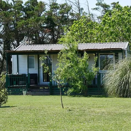 Holiday home Mas Maurane-le Platane Avec Prive Aux Portes D'arles