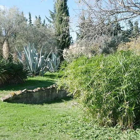 Mas Maurane-le Platane Avec Prive Aux Portes D'arles Holiday home